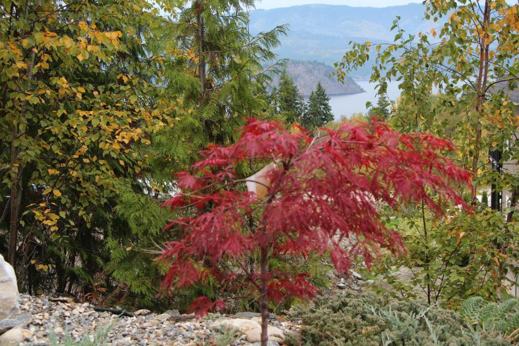 Selah Retreat Guesthouse B&B photo 1
