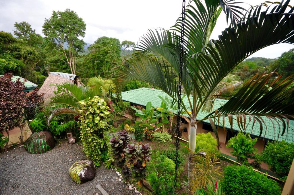 Big Bamboo de Uvita photo 3