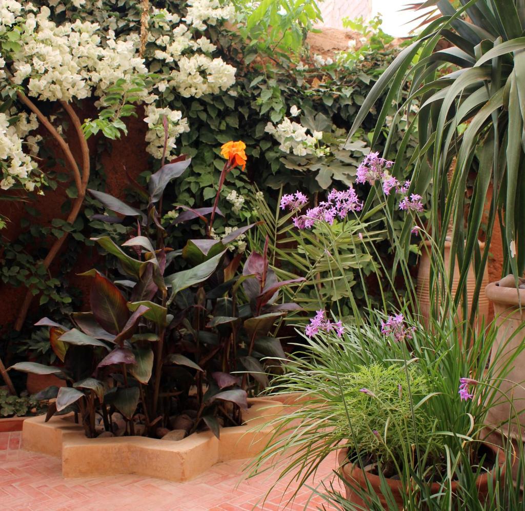 Tifawin Home And Garden photo 2
