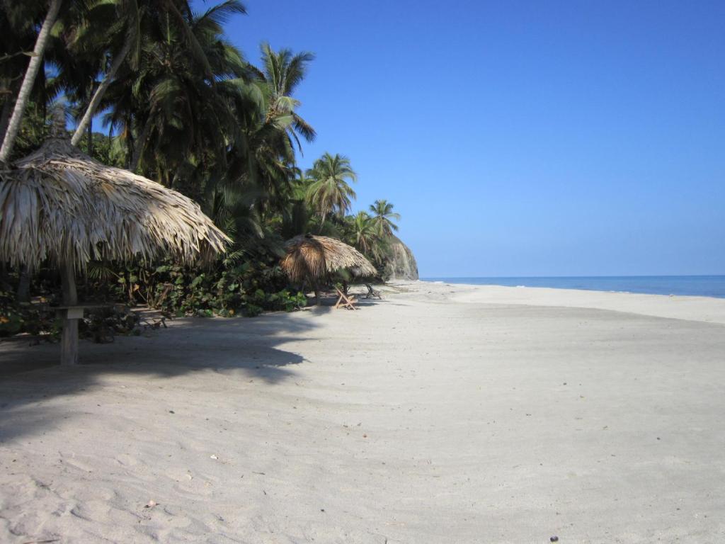 Sublime by Playa la Roca EcoHotel photo 3