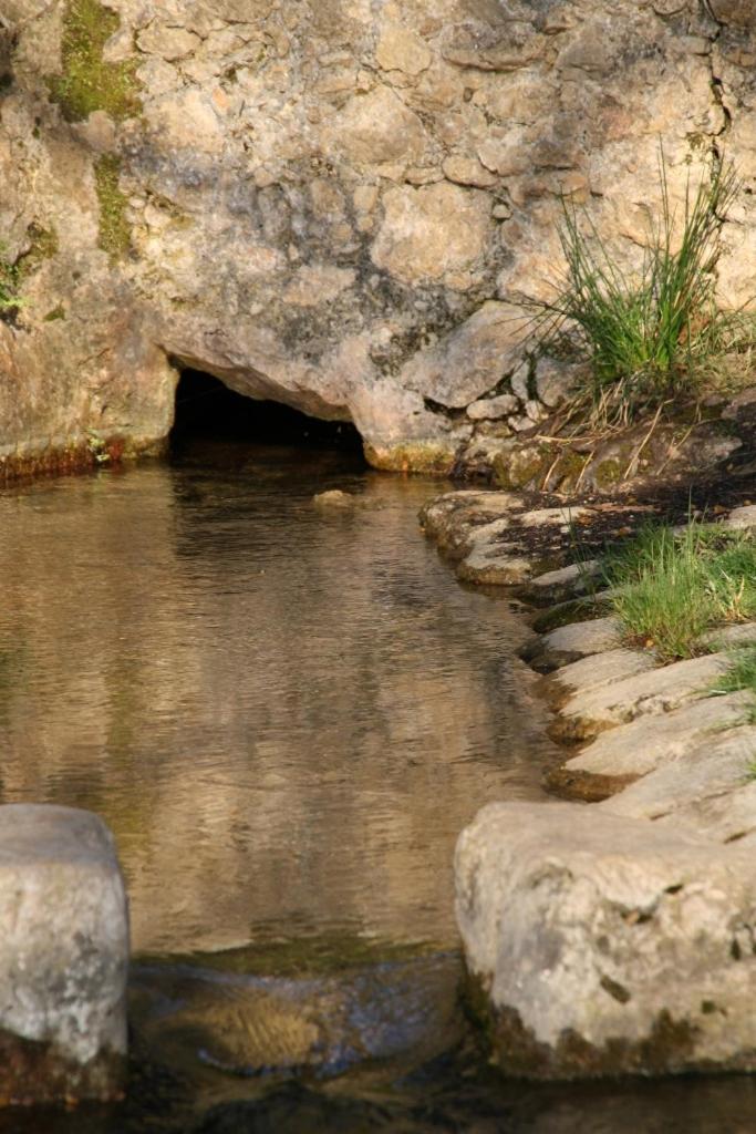 Campagne de la source St Martin B&B photo 2