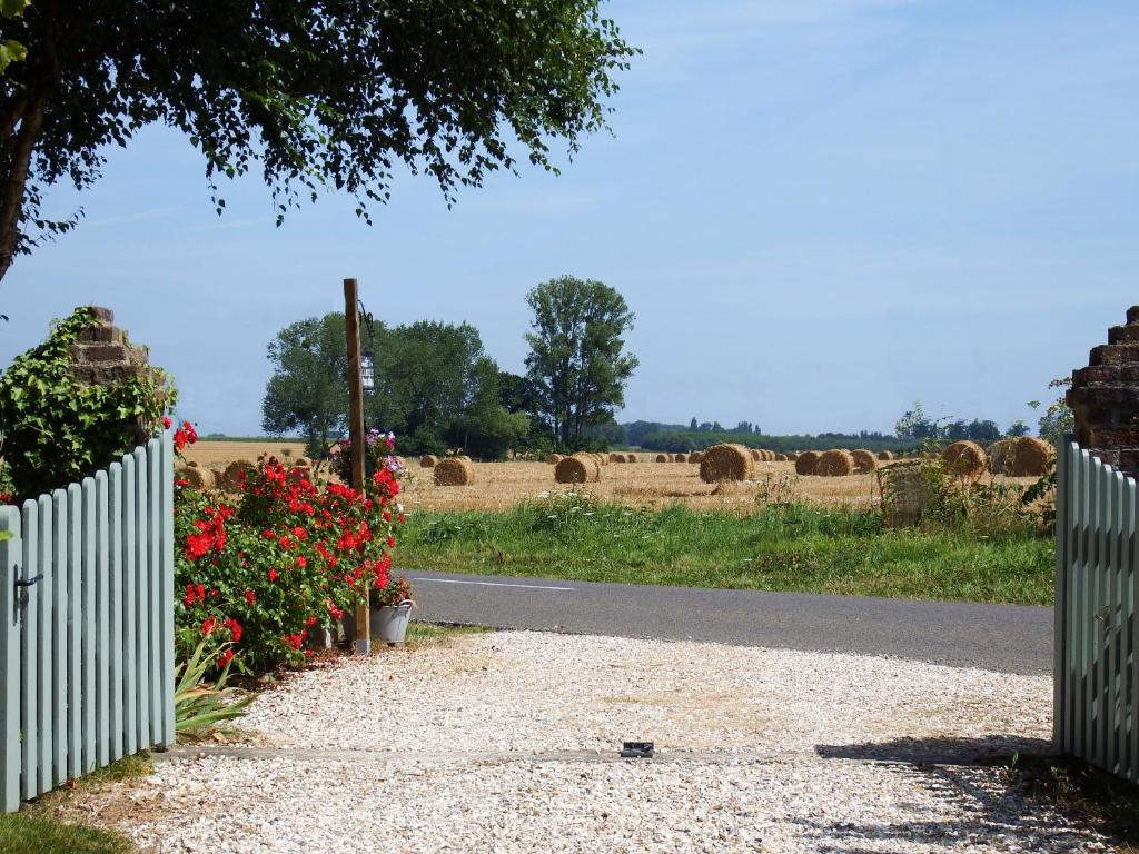 La petite saugère photo 2
