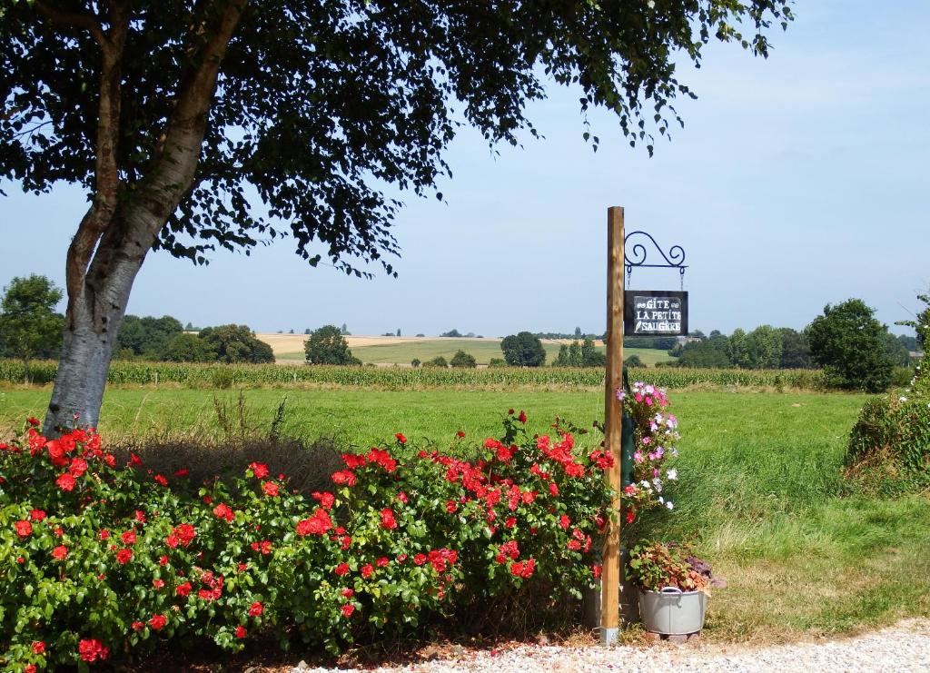 La petite saugère photo 3