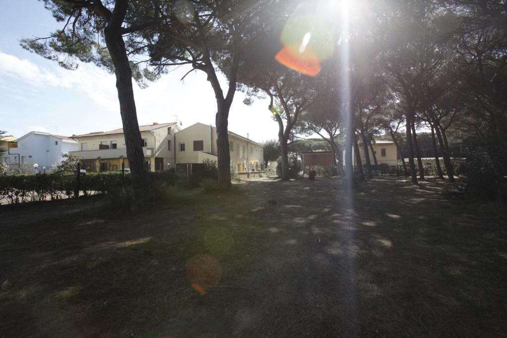 Il giaguaro photo 1