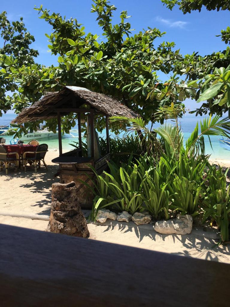 Hippocampus Beach Resort photo 1