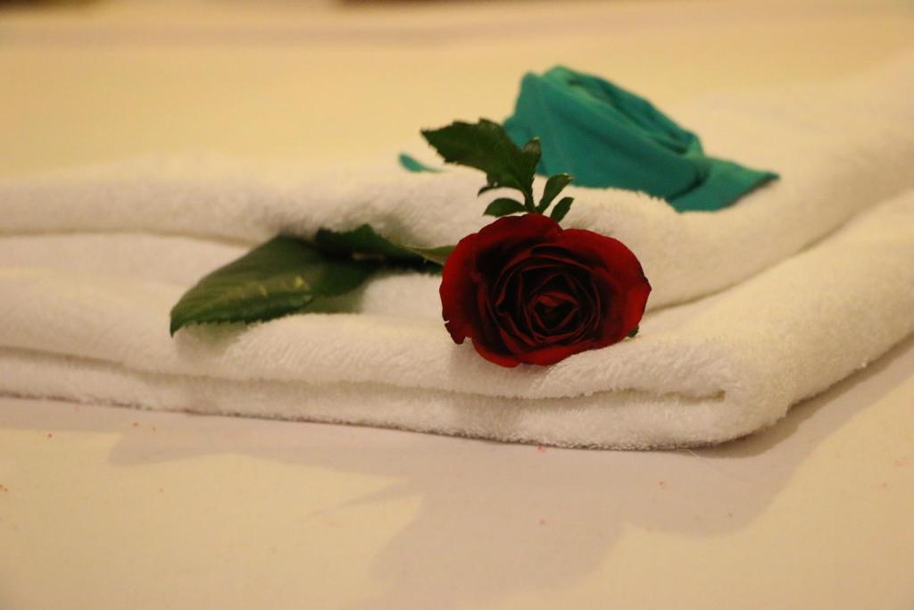 Relax Guesthouse photo 3