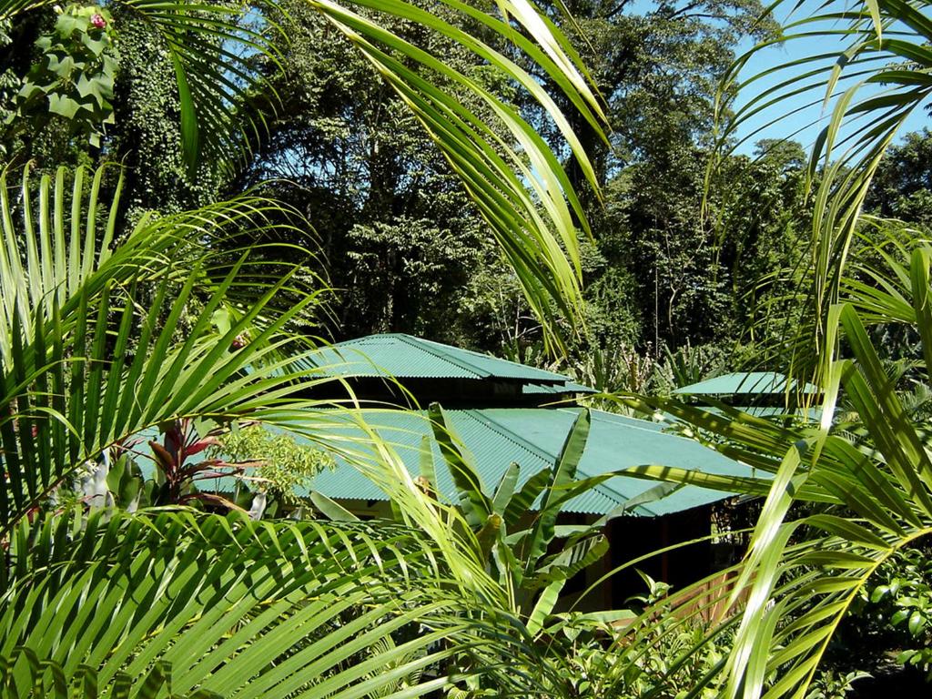 El Colibri Lodge photo 1