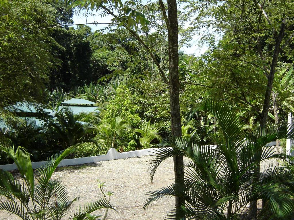 El Colibri Lodge photo 4