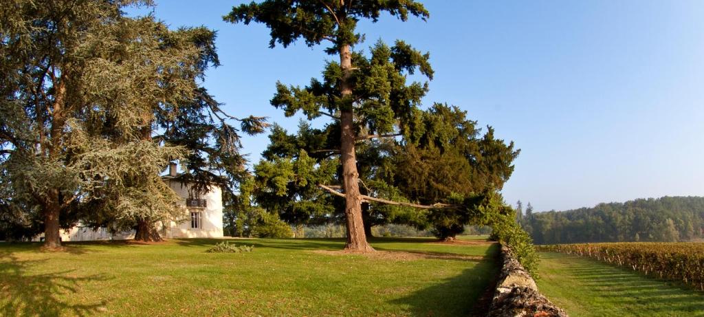 Les Secrets Château Pey La Tour - Groupe LOGIS HOTELS photo 3