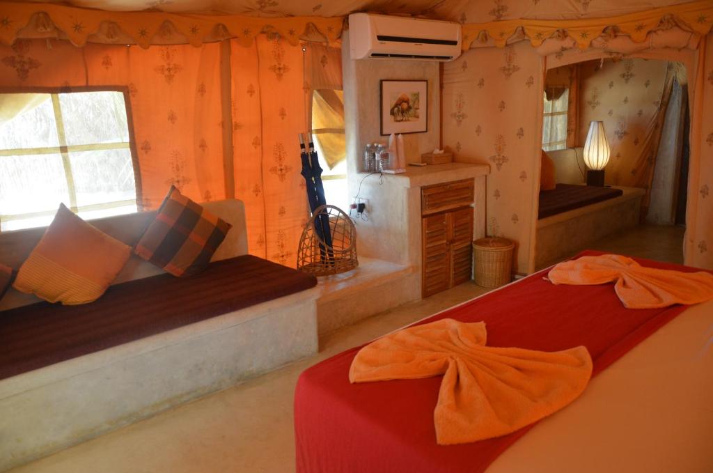 Dolphin Beach Resort photo 2