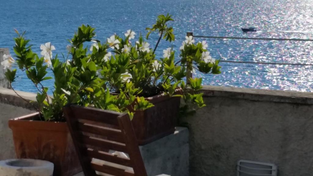 Le Sirene photo 1