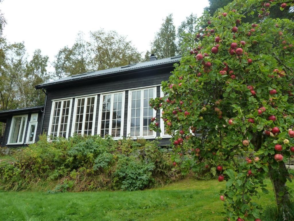 Klara House photo 1