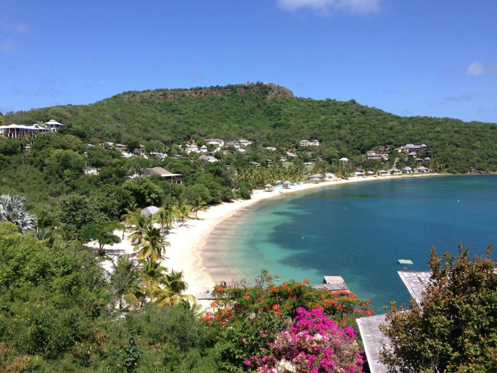 Blue Moon Antigua photo 4