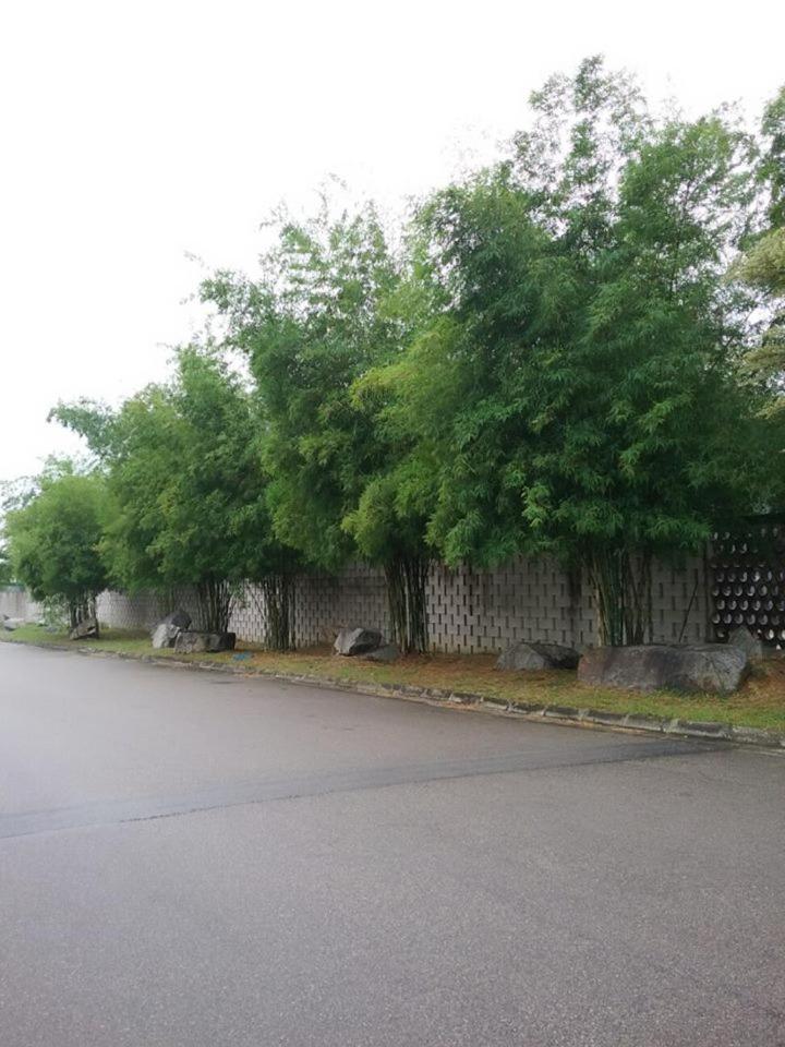 E-Home Kulai photo 4