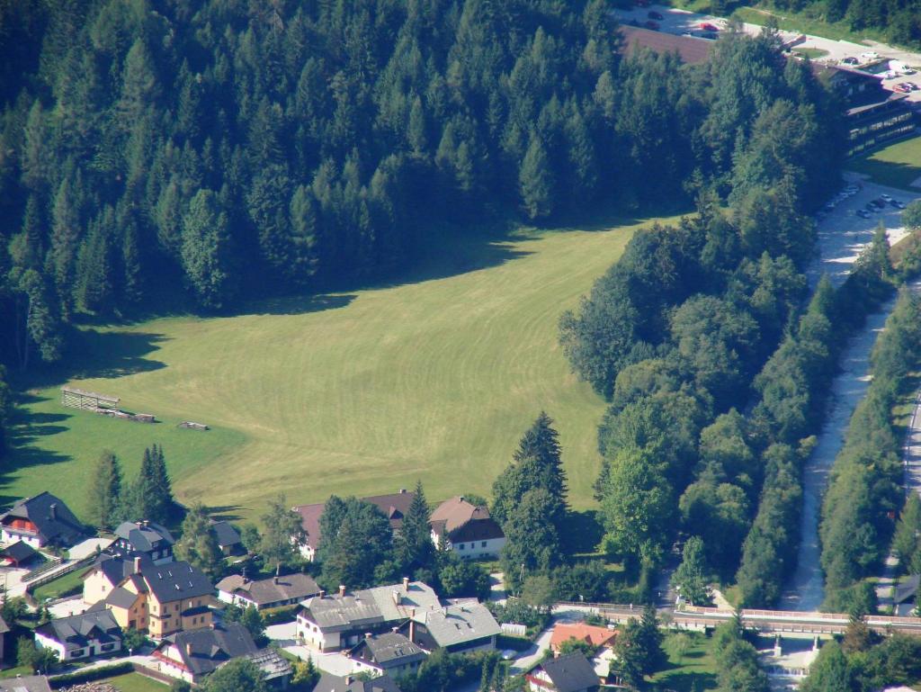 Farm Košir photo 2