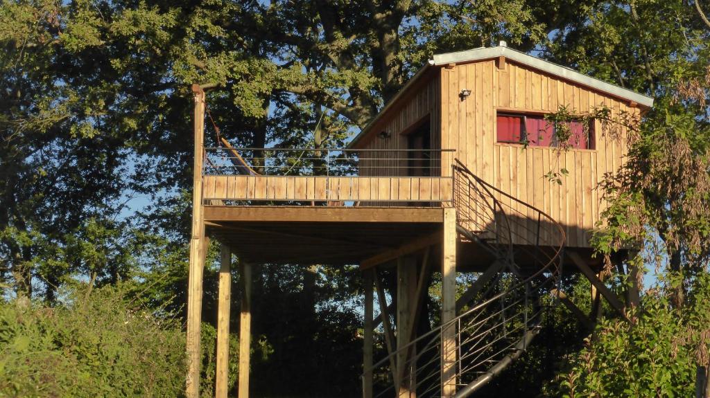 La cabane perchée du faucon