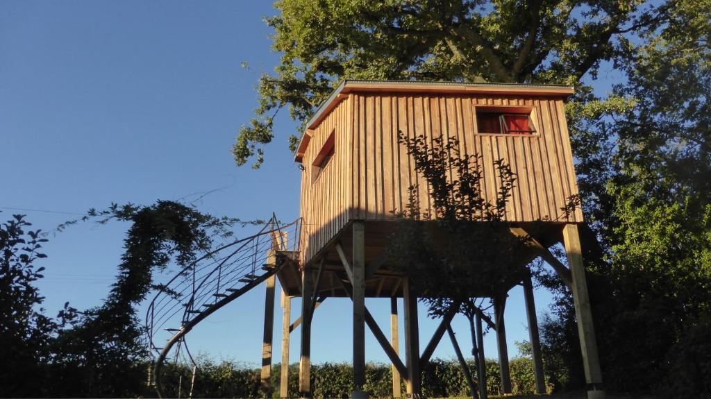 La cabane perchée du faucon photo 2