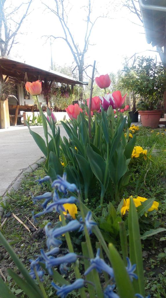 Farm stay Lackovic photo 3