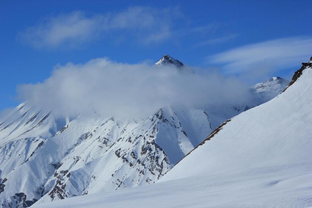 Apartments in New Gudauri photo 4