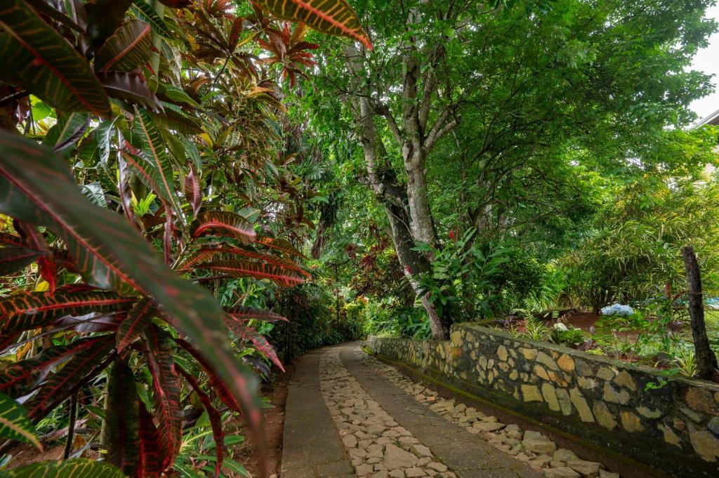 Oak Villa Galle - Tap to explore photos