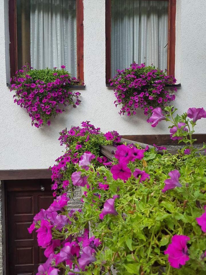 Villa Ana Marija photo 4