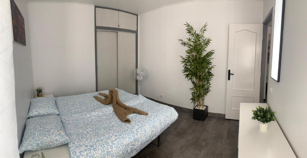 Pandora apartment