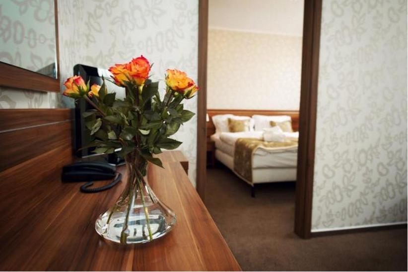 Сьюит (Люкс с 1 спальней), Wellness hotel Spark