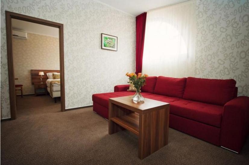 Сьюит (Люкс с 1 спальней), Wellness hotel Spark