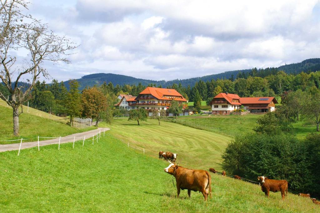Hotel zum Breitenberg photo 2