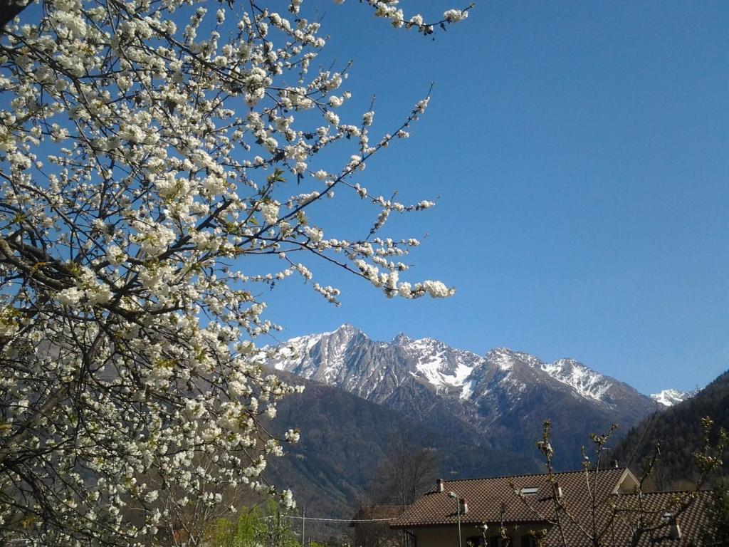 Villetta Nembra photo 3