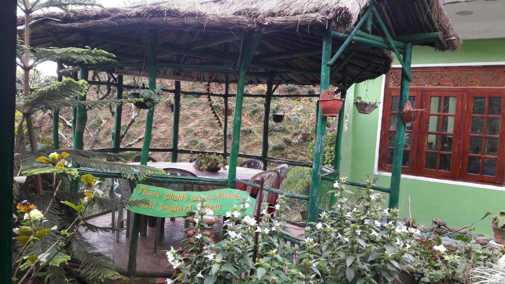 Green House photo 4