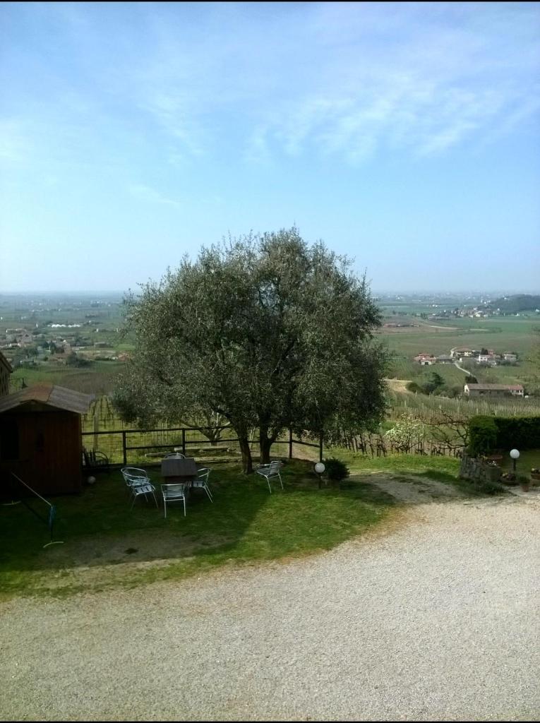 Il Castagneto photo 2