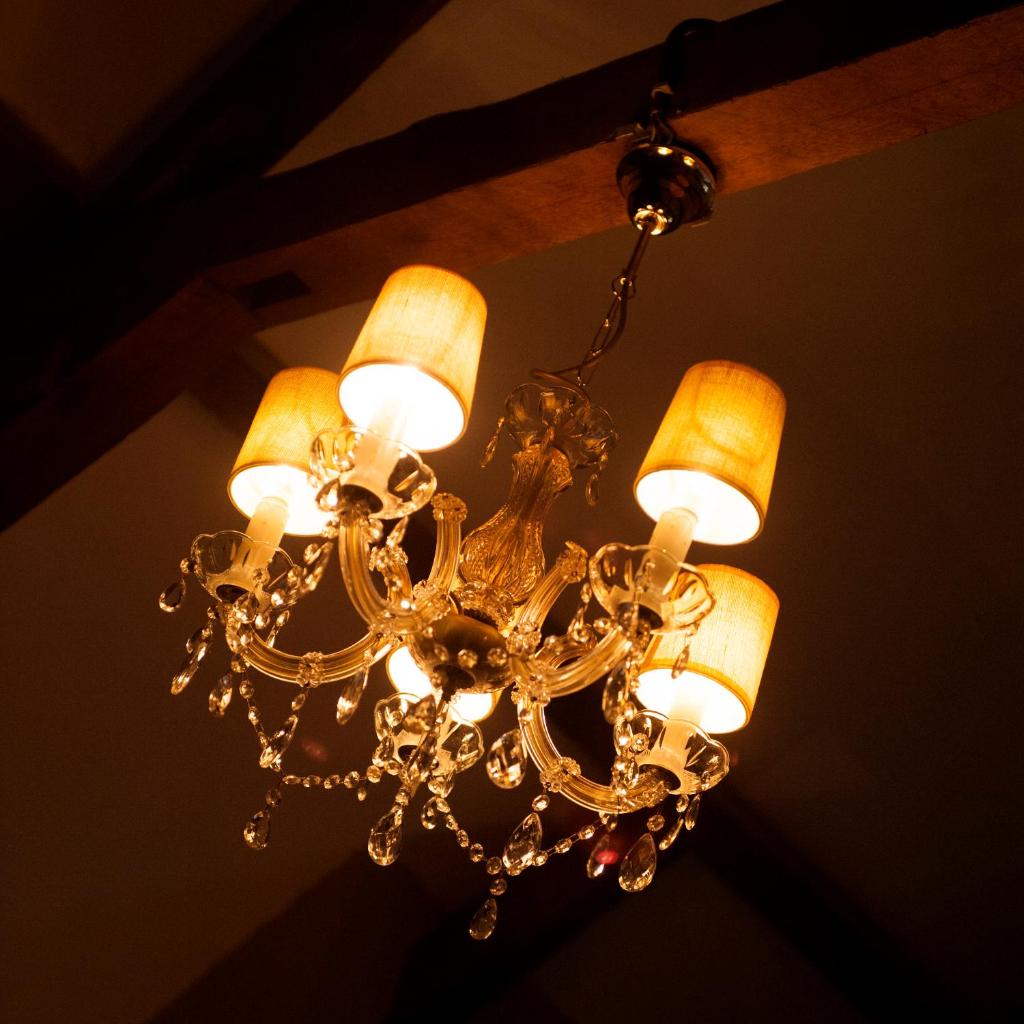 Guesthouse Vakantie Logies Hollywood photo 3