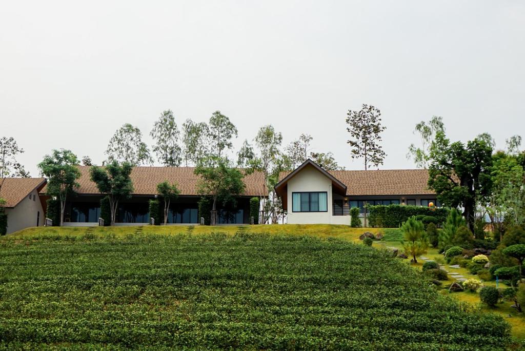 PASSA ผัสสะ Tea Plantation @Mae On, Chiang Mai