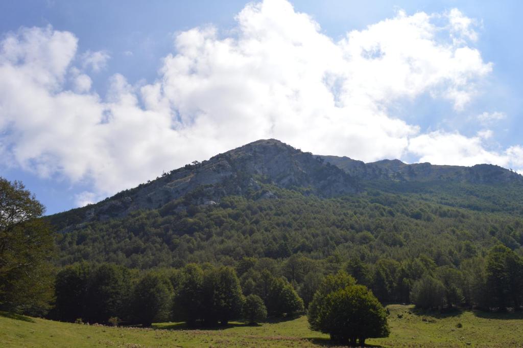 Casa Vacanze Cuore del Pollino photo 3