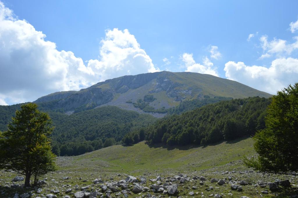 Casa Vacanze Cuore del Pollino photo 2