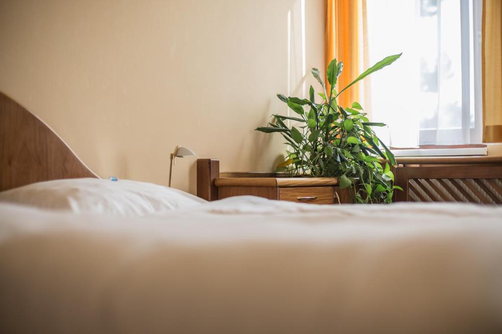 Двухместный (Двухместный номер с 1 кроватью), Hotel Eitljörg