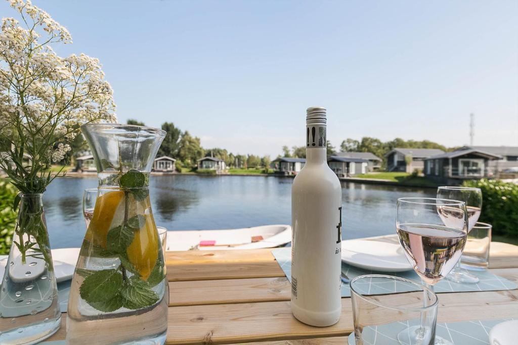 Vakantie in Terherne photo 1
