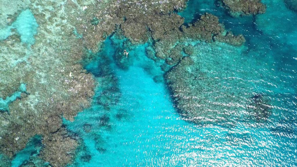 Yasawa Island Resort & Spa photo 3