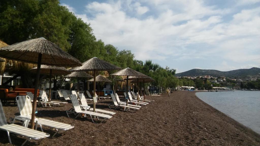 Tokalis Boutique Hotel & Spa photo 2