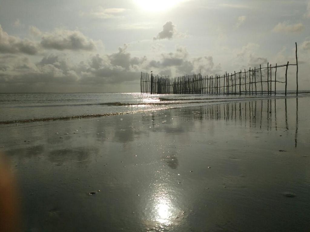 Chateu Soneca photo 4