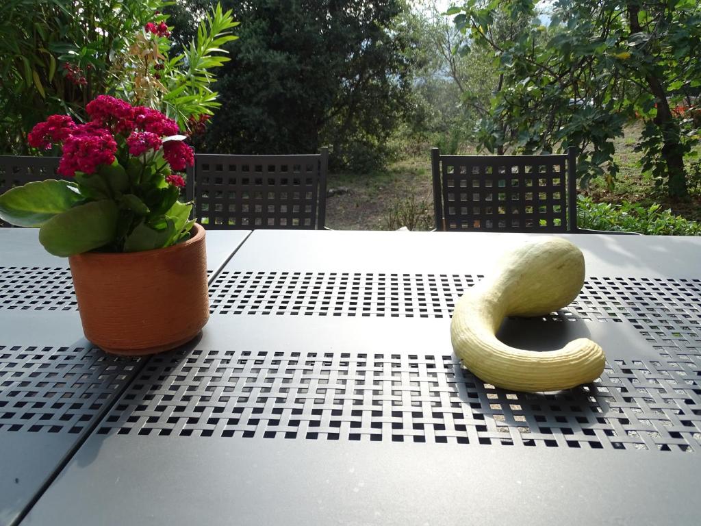 Ca Du Ventu photo 2