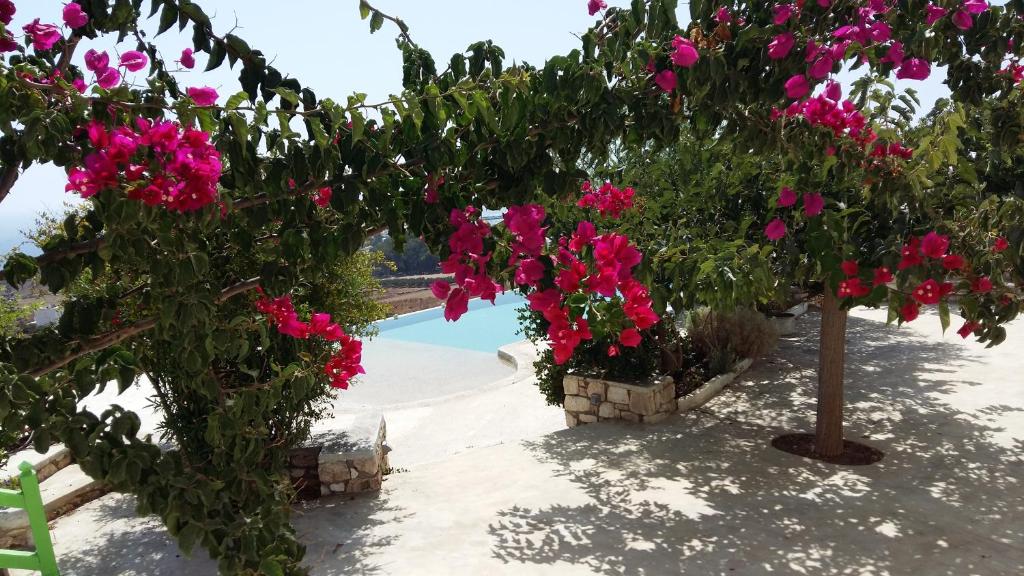 Villa Armonia photo 2