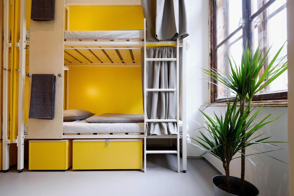 Трехместный (Трехместный номер с собственной ванной комнатой), Flow Hostel