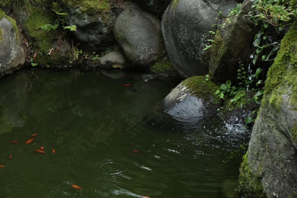 Etchu Yatsuo Base OYATSU photo 4