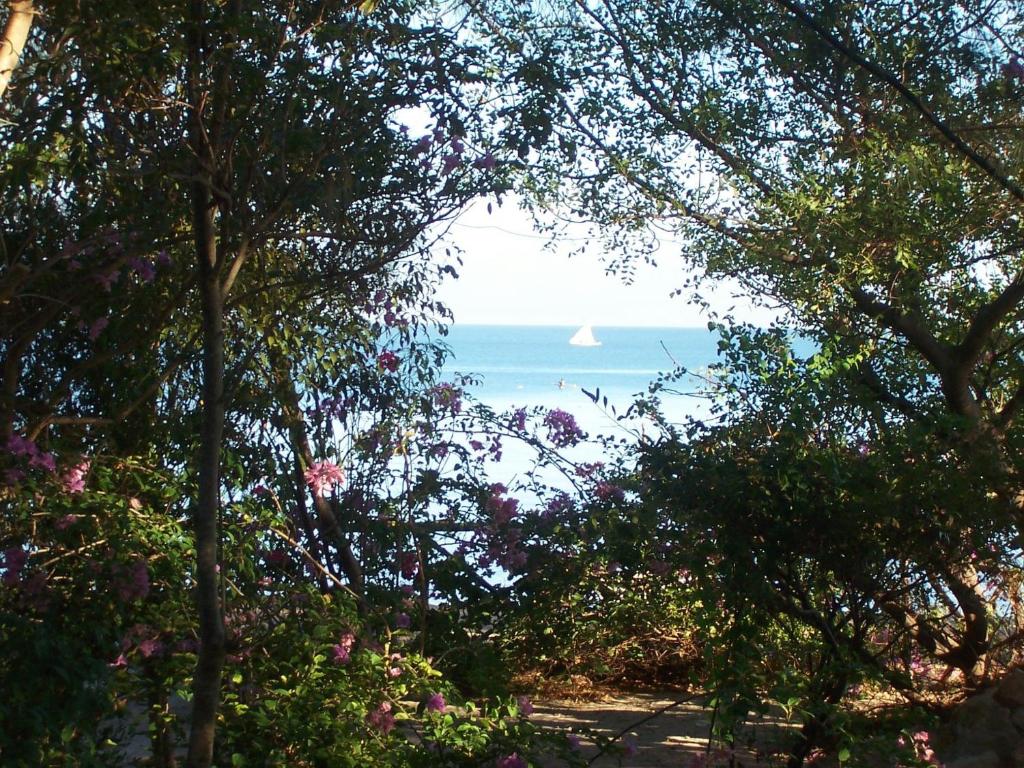 Villa Miadana photo 2