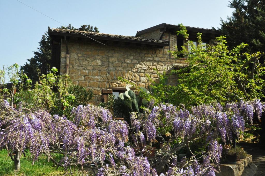 La Casa sulla Collina d'Oro photo 1