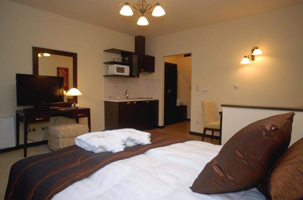 Двухместный (Улучшенный двухместный номер с 1 кроватью), Hotel Aurum