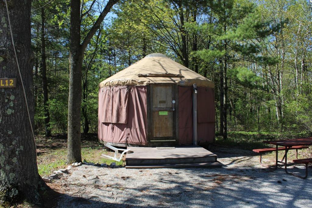 Tranquil Timbers Yurt 3 image