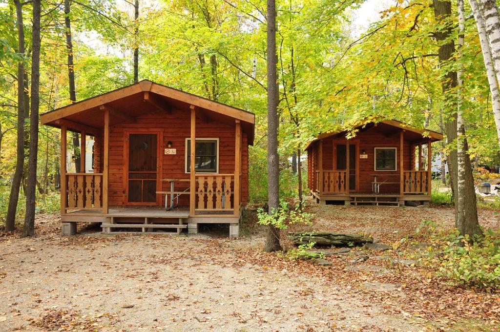 Tranquil Timbers Cabin 11 image